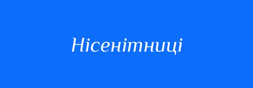 Синоніми до слова Нісенітниці