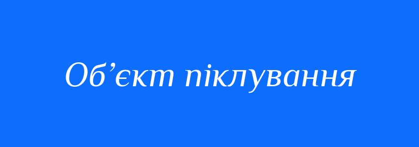 Синоніми до слова Об’єкт піклування
