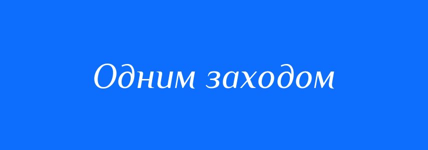 Синоніми до слова Одним заходом