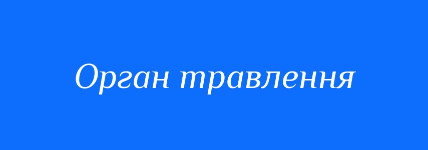 Синоніми до слова Орган травлення