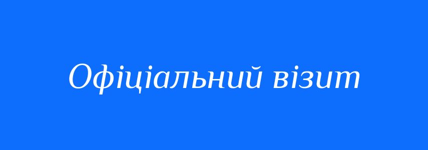 Синоніми до слова Офіціальний візит