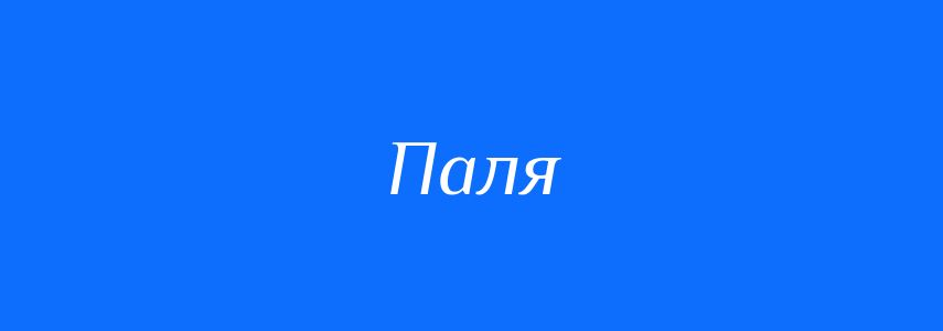 Синоніми до слова Паля