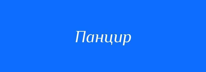 Синоніми до слова Панцир