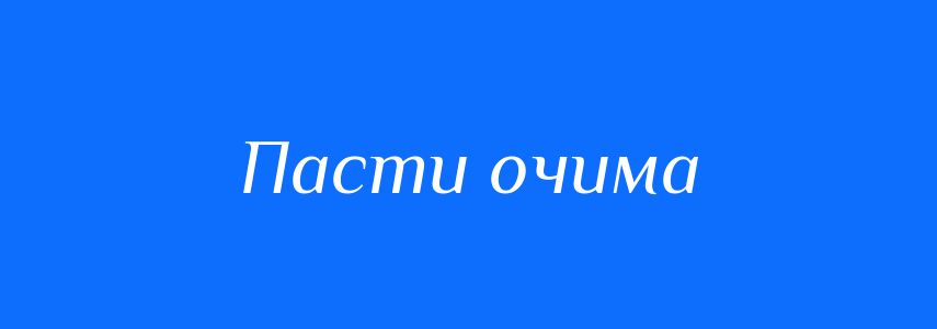 Синоніми до слова Пасти очима