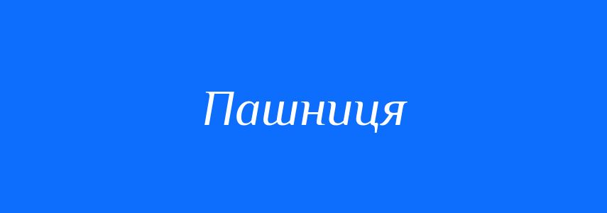Синоніми до слова Пашниця
