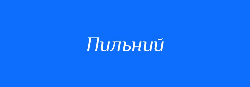Синоніми до слова Пильний