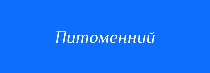 Синоніми до слова Питоменний