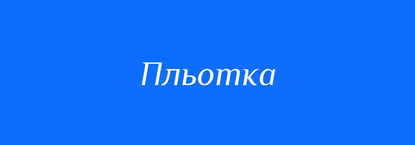 Синоніми до слова Пльотка