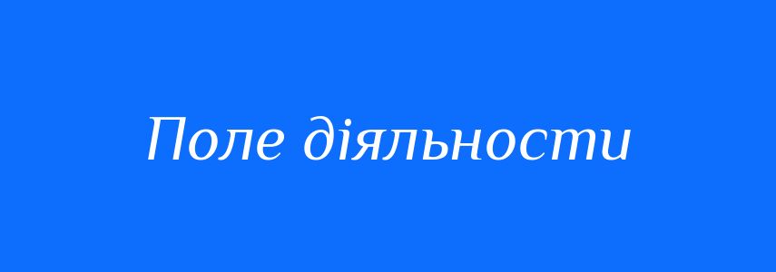 Синоніми до слова Поле діяльности