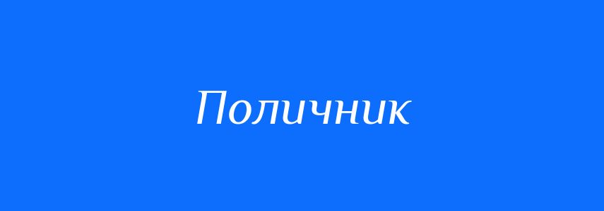 Синоніми до слова Поличник