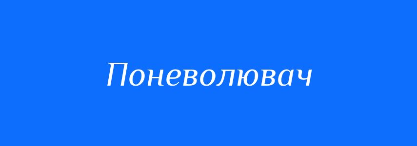 Синоніми до слова Поневолювач
