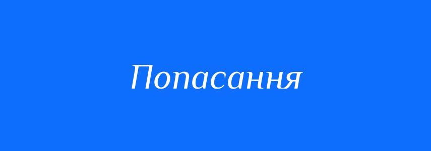Синоніми до слова Попасання