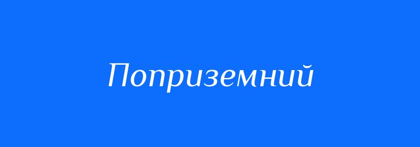 Синоніми до слова Поприземний