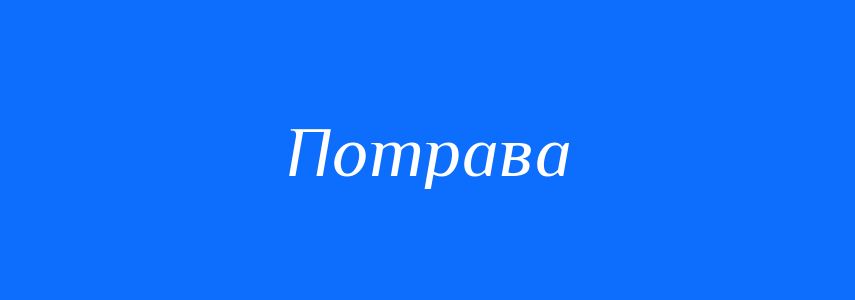 Синоніми до слова Потрава