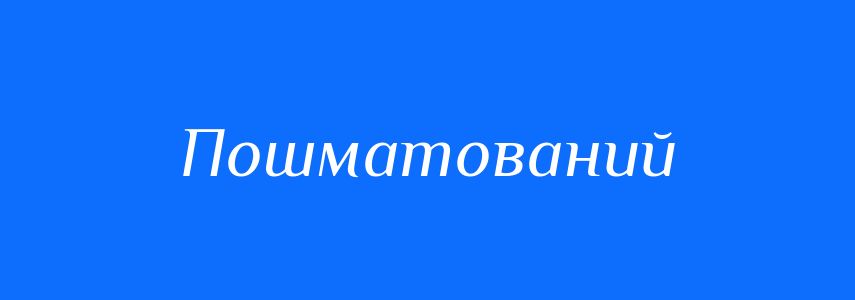 Синоніми до слова Пошматований