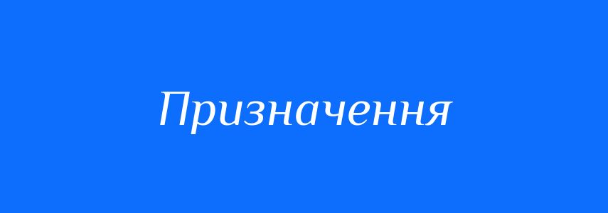 Синоніми до слова Призначення
