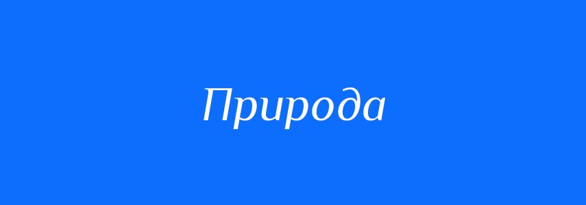 Синоніми до слова Природа