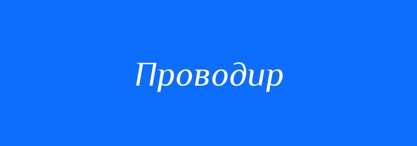 Синоніми до слова Проводир