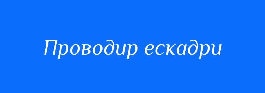 Синоніми до слова Проводир ескадри