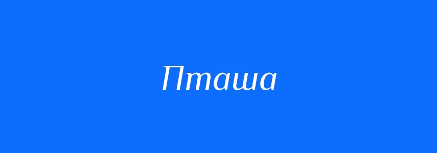 Синоніми до слова Пташа