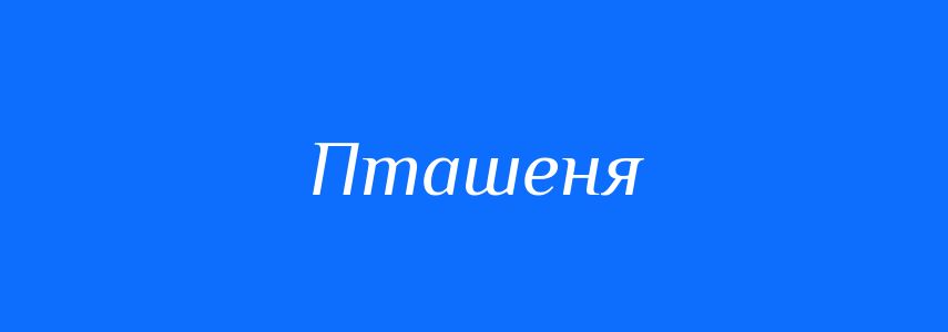 Синоніми до слова Пташеня