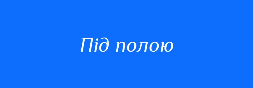 Синоніми до слова Під полою