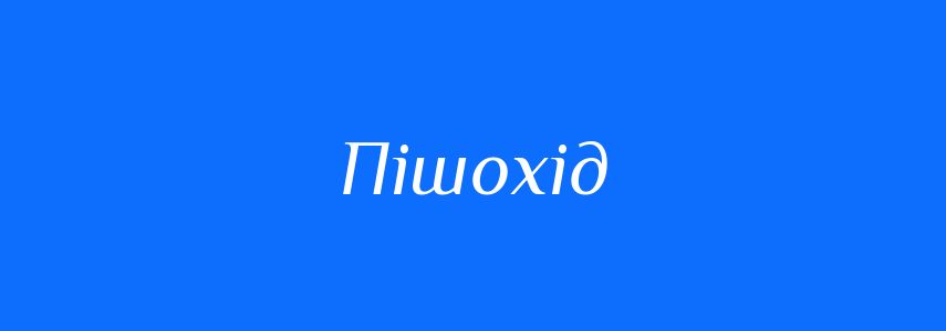 Синоніми до слова Пішохід