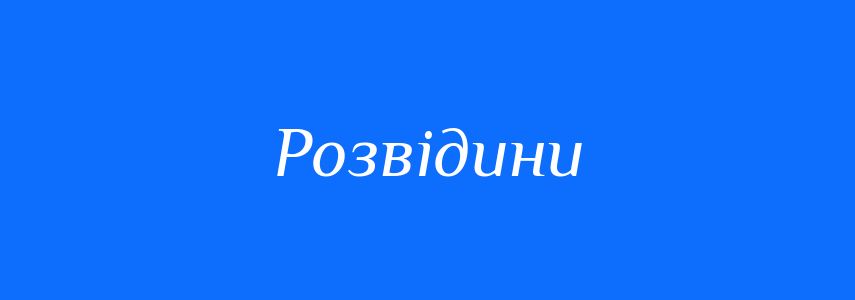 Синоніми до слова Розвідини