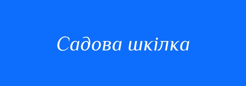 Синоніми до слова Садова шкілка