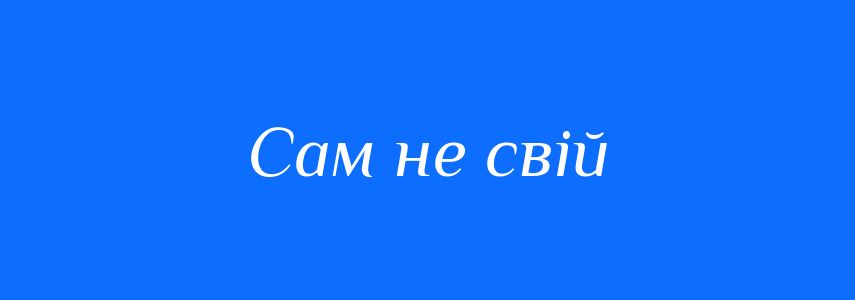 Синоніми до слова Сам не свій