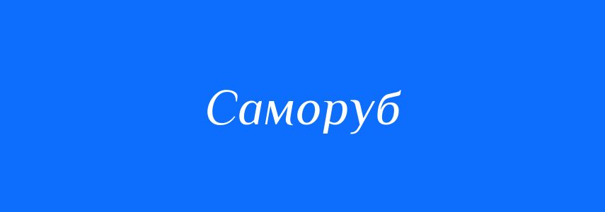 Синоніми до слова Саморуб