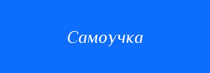 Синоніми до слова Самоучка