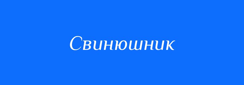 Синоніми до слова Свинюшник