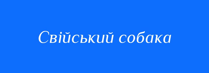 Синоніми до слова Свійський собака