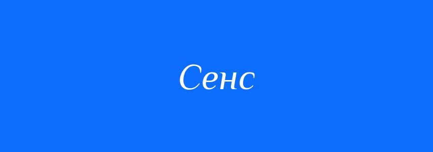 Синоніми до слова Сенс