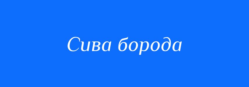 Синоніми до слова Сива борода
