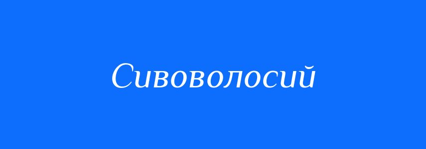 Синоніми до слова Сивоволосий