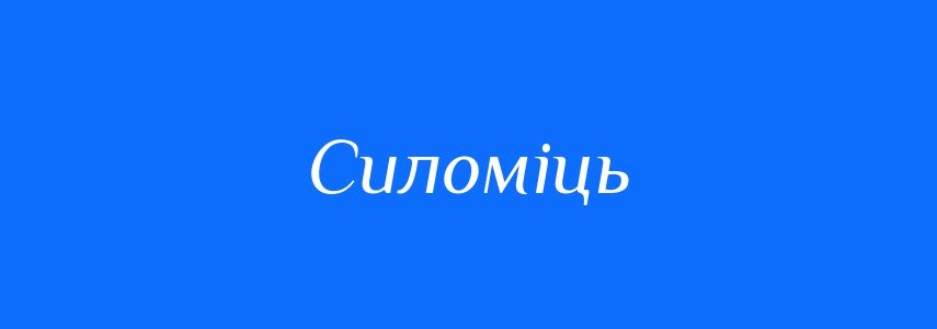 Синоніми до слова Силоміць