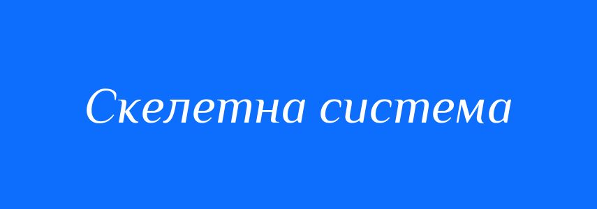 Синоніми до слова Скелетна система