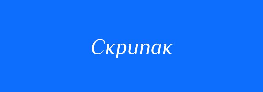 Синоніми до слова Скрипак