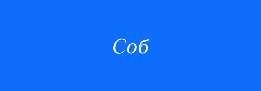 Синоніми до слова Соб