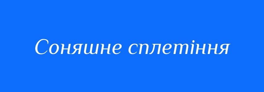 Синоніми до слова Соняшне сплетіння