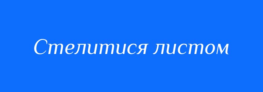 Синоніми до слова Стелитися листом