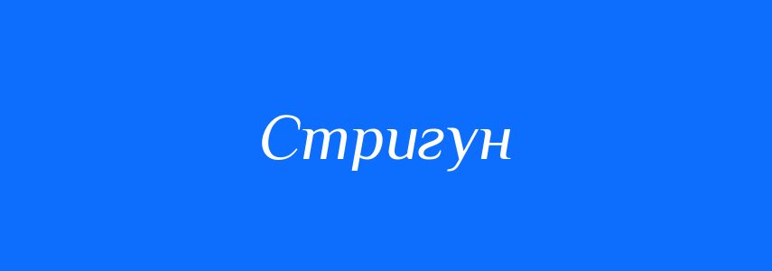 Синоніми до слова Стригун