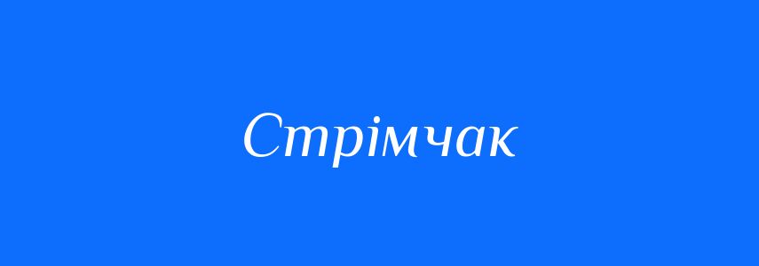 Синоніми до слова Стрімчак