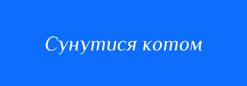 Синоніми до слова Сунутися котом