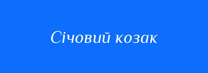 Синоніми до слова Січовий козак