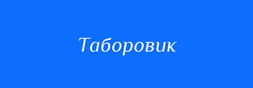 Синоніми до слова Таборовик