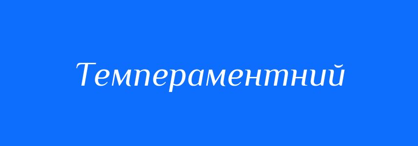 Синоніми до слова Темпераментний