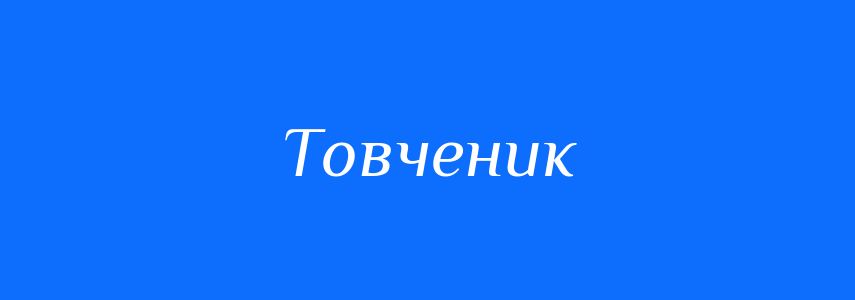 Синоніми до слова Товченик